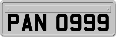PAN0999