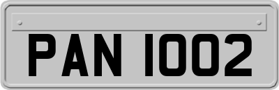 PAN1002