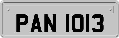 PAN1013