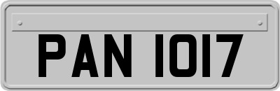 PAN1017