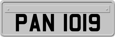 PAN1019