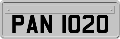 PAN1020