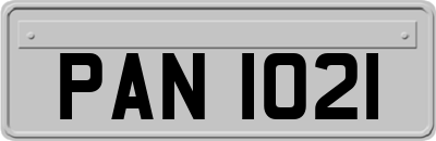 PAN1021