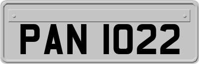 PAN1022