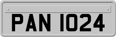 PAN1024