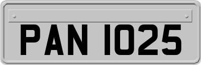 PAN1025