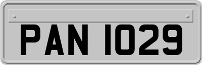 PAN1029