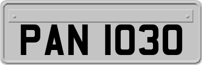 PAN1030