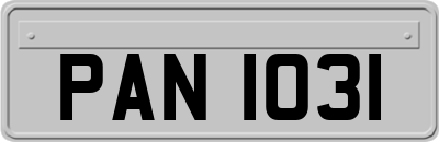 PAN1031