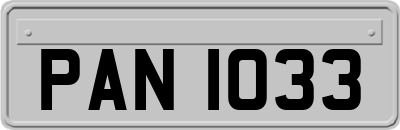 PAN1033