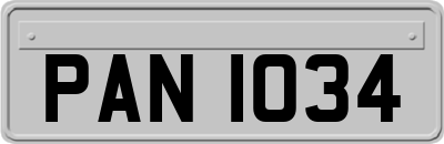 PAN1034