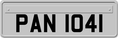 PAN1041