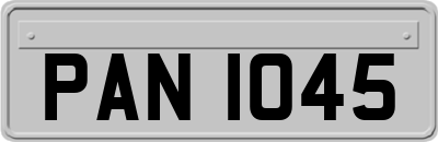 PAN1045