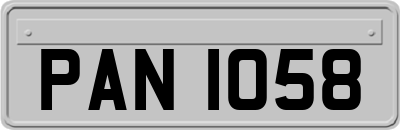 PAN1058