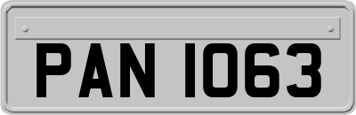 PAN1063