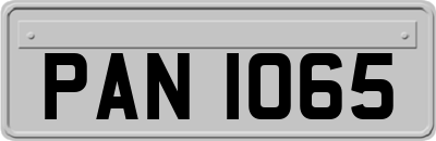 PAN1065
