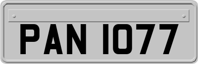 PAN1077