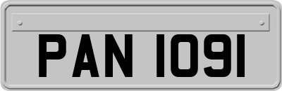 PAN1091