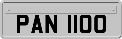 PAN1100