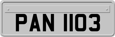 PAN1103