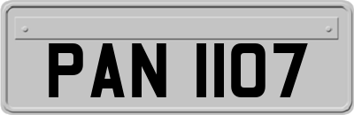 PAN1107
