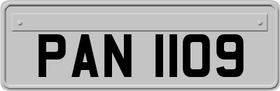 PAN1109