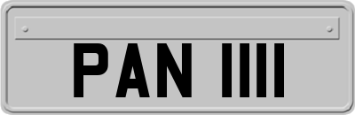 PAN1111