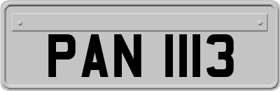 PAN1113