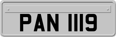 PAN1119