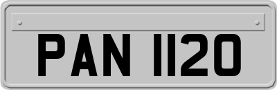 PAN1120