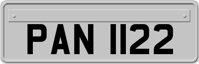 PAN1122