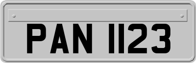PAN1123