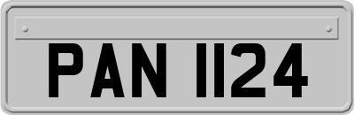 PAN1124