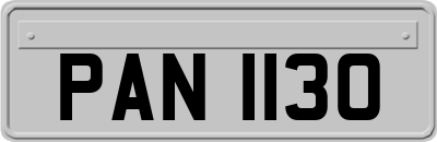 PAN1130