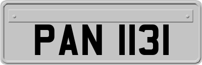 PAN1131