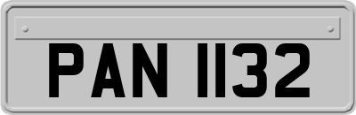 PAN1132