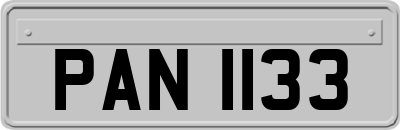 PAN1133