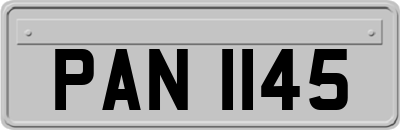 PAN1145