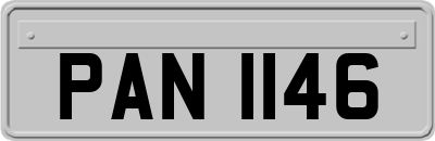 PAN1146