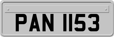 PAN1153