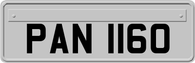 PAN1160