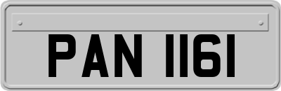 PAN1161