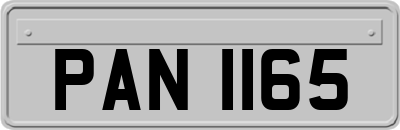 PAN1165