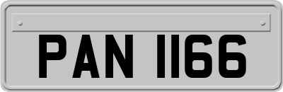 PAN1166