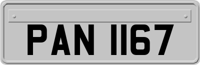PAN1167
