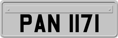 PAN1171