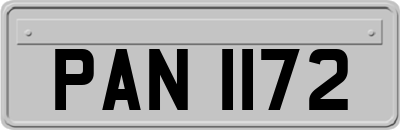 PAN1172