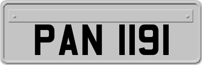 PAN1191