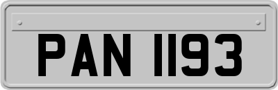 PAN1193
