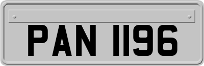 PAN1196